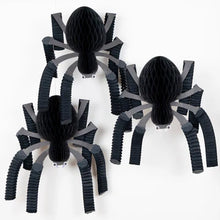  Honeycomb Spider
