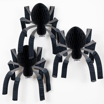 Honeycomb Spider