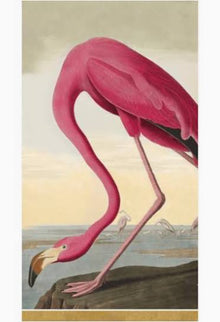  Audubon Birds Guest Towel