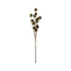 29"L Plastic Pinecone Stem w/ Glitter, Gold or Champagne