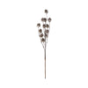 29"L Plastic Pinecone Stem w/ Glitter, Gold or Champagne