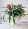 Acanthus Leaf Centerpiece Medium