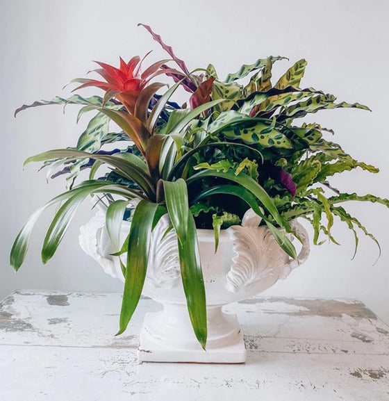 Acanthus Leaf Centerpiece Medium