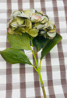  Decorative Moss Green Hydrangea