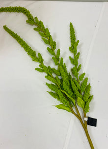  Green Amaranthus Stem