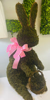 Mossy Bunny With Basket