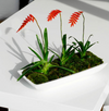 Matte White Pandora Planter
