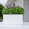 XS Glossy White Jort Container