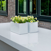 XS Glossy White Jort Container