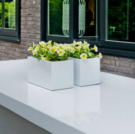 XS Glossy White Jort Container