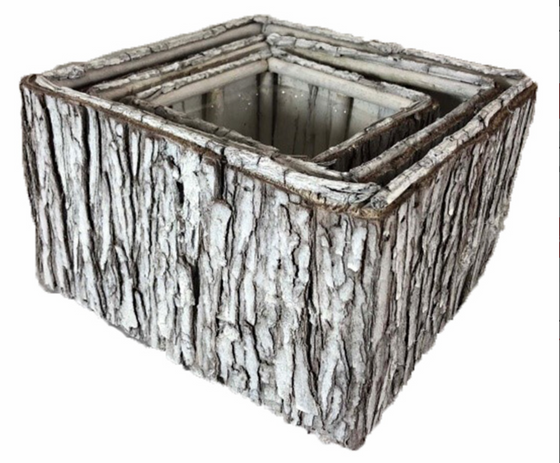 White Tree Bark Container
