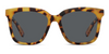 First Class Reading Sunglass