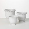Scalloped Cement Pots