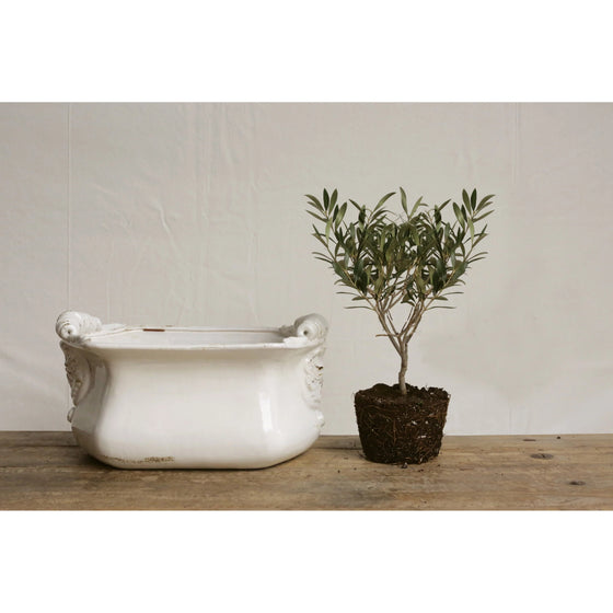 Terra-Cotta Cachepot